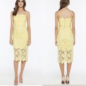 Yellow Bardot Womens Lace Sheath Dress,